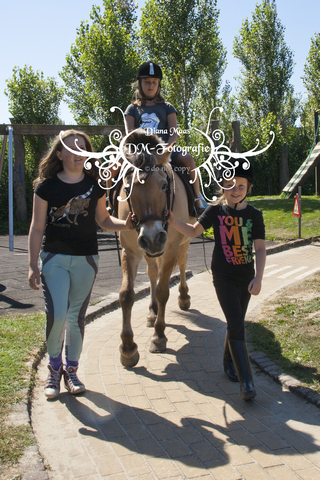 Pony rijden 2013