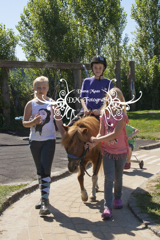 Pony rijden 2013