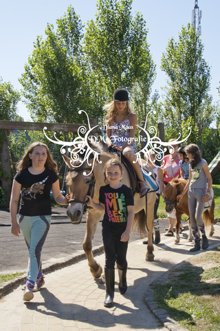 Pony rijden 2013