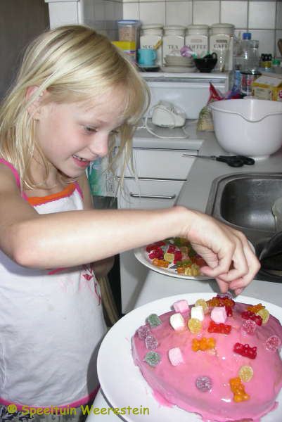 Zomerpicknick 2009