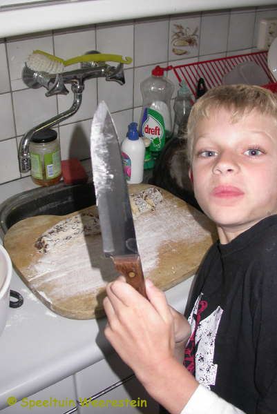 Zomerpicknick 2009