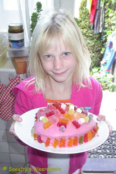 Zomerpicknick 2009