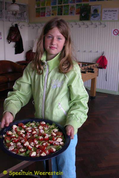 Zomerpicknick 2009