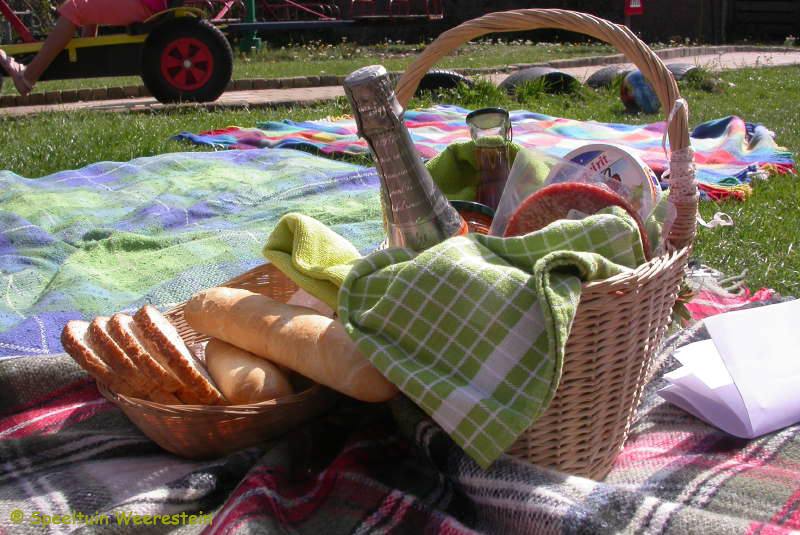 Zomerpicknick 2009