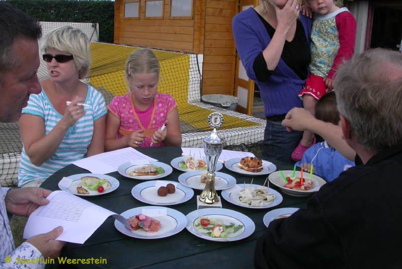Zomerpicknick 2009
