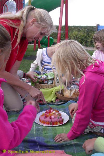 Zomerpicknick 2009