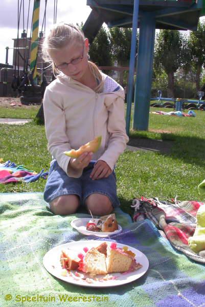Zomerpicknick 2009