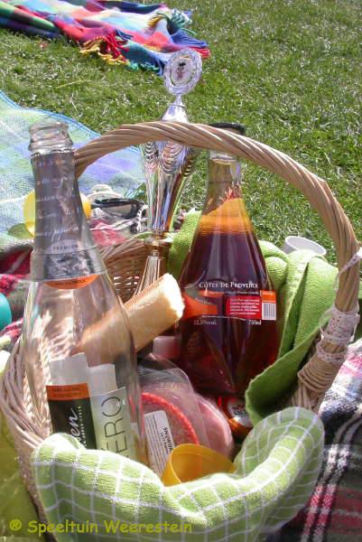 Zomerpicknick 2009
