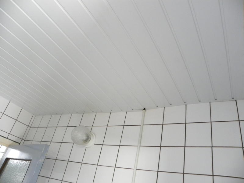 dscn0365.jpg