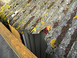 dscn0361.jpg