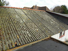 dscn0362.jpg