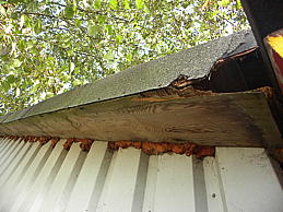 dscn0363.jpg