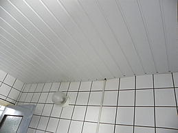 dscn0365.jpg