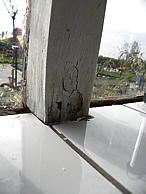 dscn0370.jpg