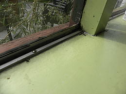 dscn0371.jpg